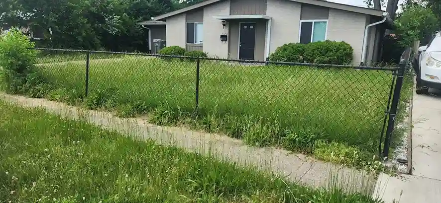 Lawn care service started by vendor 3 on GreenPal platform in Sanger CA