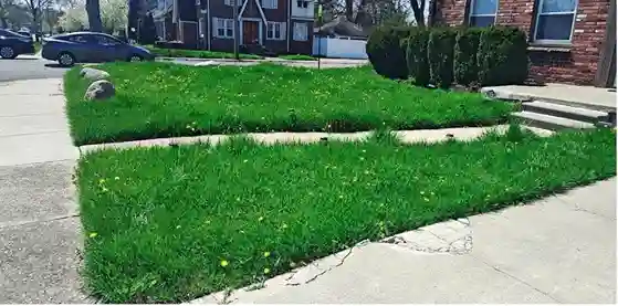 Lawn care service started by vendor 7 on GreenPal platform in Sanger CA