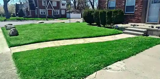 Yard maintenance completed by vendor 7 through GreenPal platform in Sanger CA