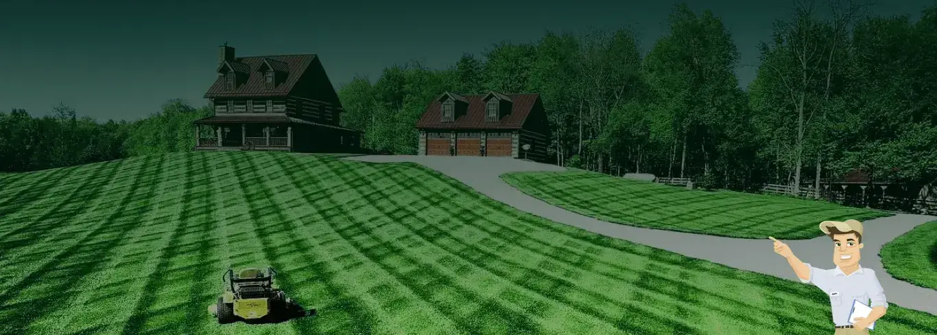 Professional lawn mowing and local yard care services in Sanger, CA