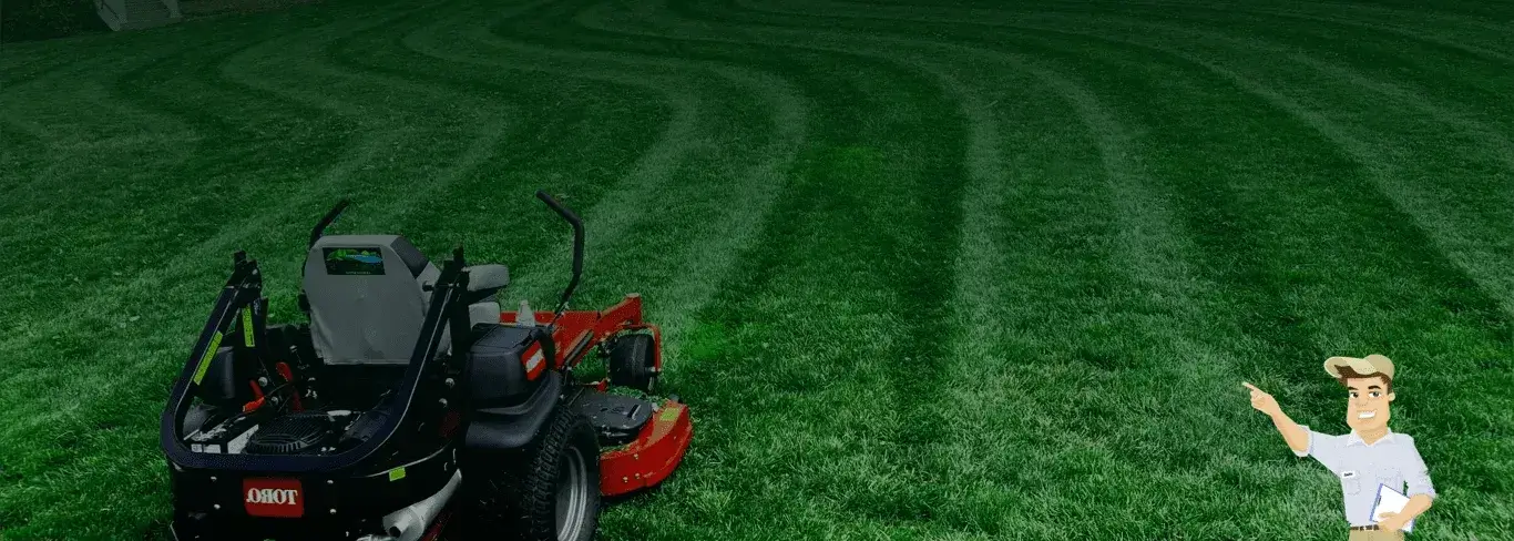Professional lawn mowing and local yard care services in Camarillo, CA