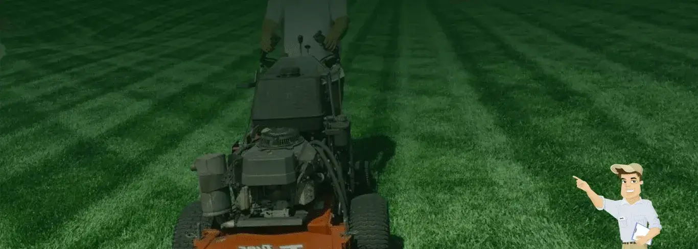 Professional lawn mowing and local yard care services in Berkeley, CA