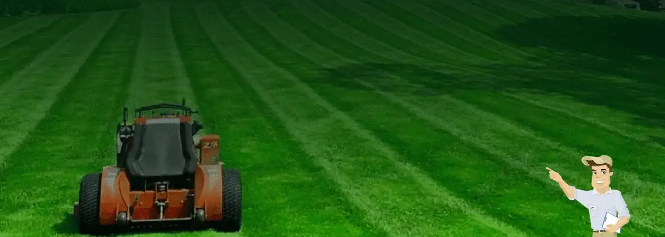 Professional lawn mowing and local yard care services in Gilroy, CA